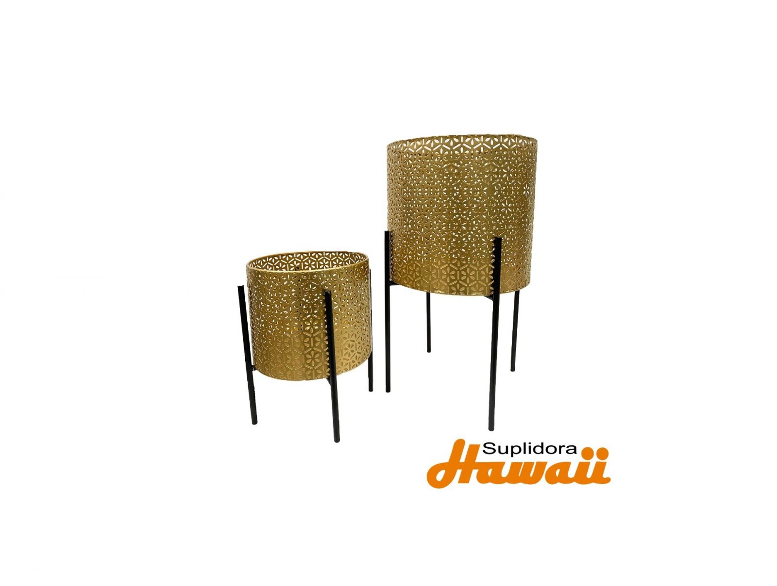 PLANTAS S2 15 14 73864