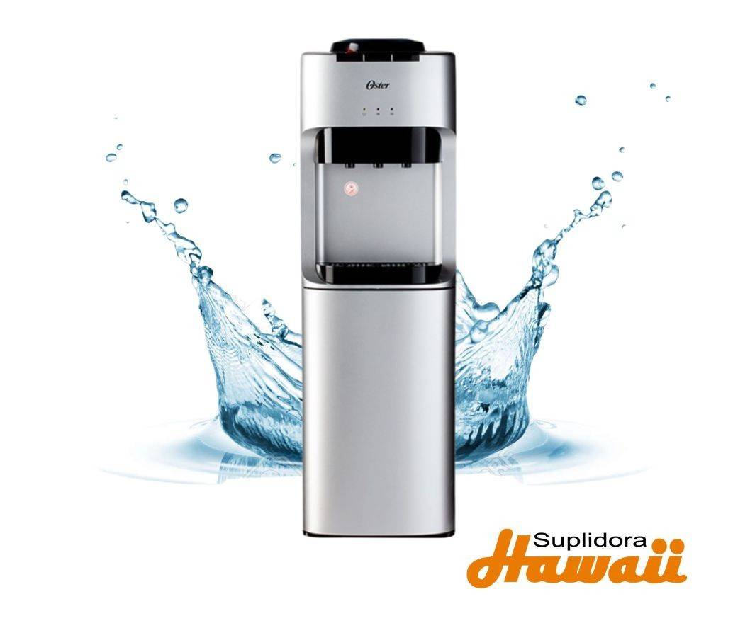 BEBEDERO OSTER OS-WD2100SR GRIS SATINADO CON NEGRO