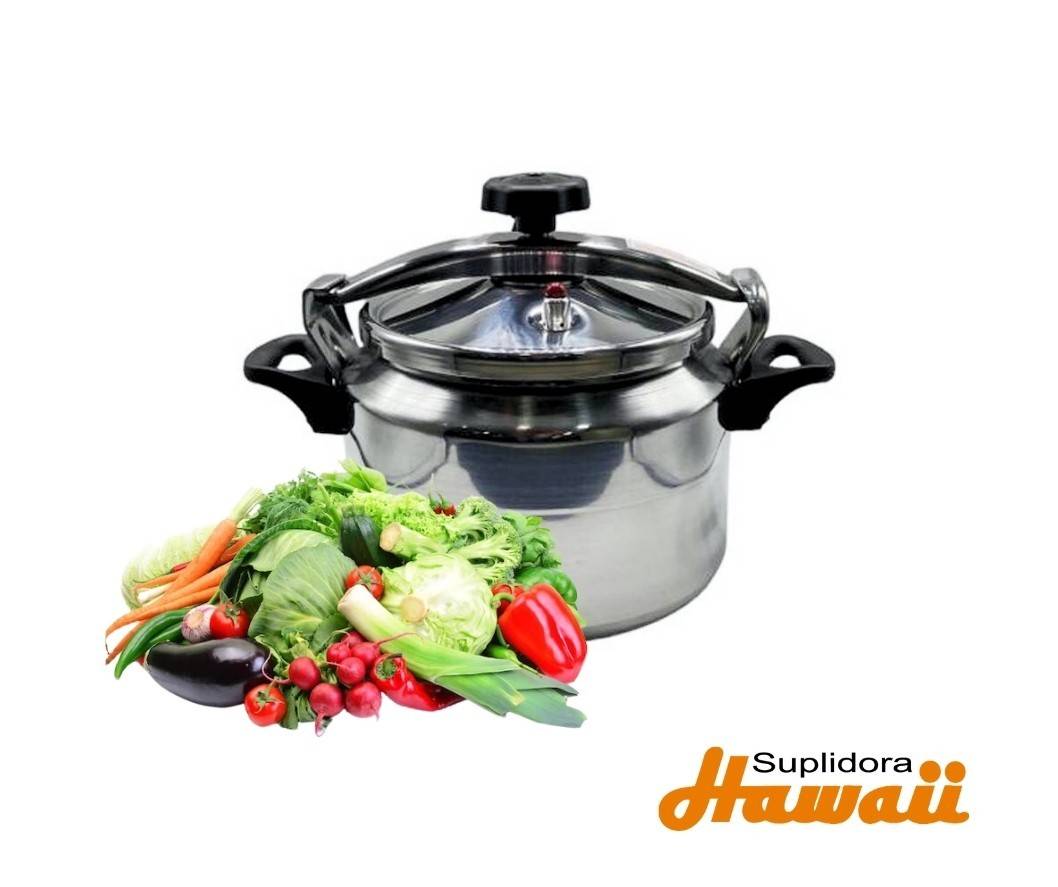 OLLA DE PRESION 832-11002 9LTS