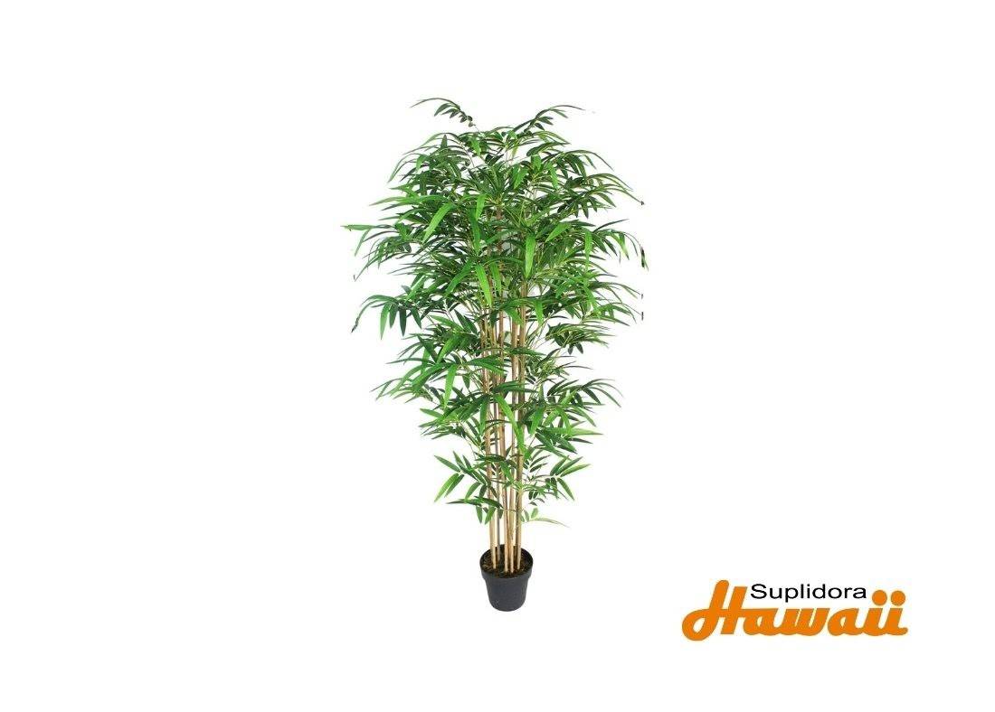 PLANTA ART CPOTE 592-311717 50X50X170CM